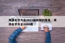 男孩名字大全2023最新版的属兔 - 男孩名字大全2020属