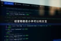 给宠物取名小羊可以吗女生 - 给宠物羊起名字