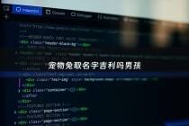 宠物兔取名字吉利吗男孩 - 宠物兔起什么名字