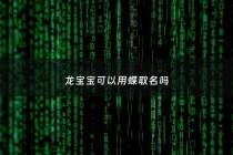 龙宝宝可以用蝶取名吗 - 龙宝宝取名宜用字