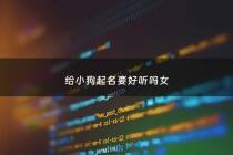 给小狗起名要好听吗女 - 给小狗起名字大全女狗