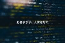 起名字东华什么寓意好听 - 东华这个名字有什么寓意