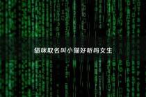 猫咪取名叫小猫好听吗女生 - 猫咪取名叫小猫好听吗女生名字