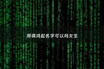 用锦鸿起名字可以吗女生 - 锦鸿这个名字的寓意