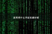 鼠男用什么字起名最好呢 - 属鼠男生起名有意义的字