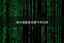 给小孩起名王路飞可以吗 - 知乎王路飞人生经历