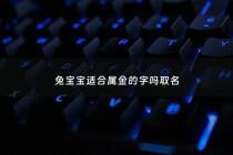 兔宝宝适合属金的字吗取名 - 金兔名字用字