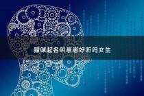 猫咪起名叫崽崽好听吗女生 - 小猫起名叫什么名好听