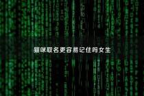 猫咪取名更容易记住吗女生 - 给猫取名字女生