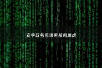 安字取名忌讳男孩吗属虎 - 安字取名禁忌