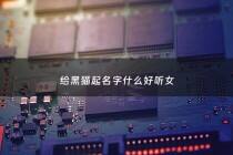 给黑猫起名字什么好听女 - 黑猫咪取什么名字好听