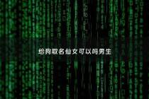 给狗取名仙女可以吗男生 - 仙女狗狗的名字