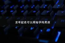 龙年起名可以用灿字吗男孩 - 龙年男孩取名字