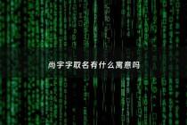 尚宇字取名有什么寓意吗 - 尚宇轩名字寓意
