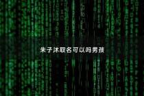 朱子沐取名可以吗男孩 - 朱子沐名字怎么样