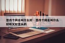 想改个网名叫什么好 - 想改个网名叫什么好听又好意头的