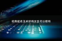 给狗起名玉米好吗女生可以取吗 - 玉米好听的名字