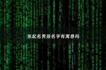 张起名男孩名字有寓意吗 - 张字取名男孩有寓意