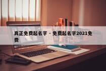 真正免费起名字 - 免费起名字2021免费