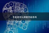 牛宝宝可以用程字起名吗 - 牛宝宝取名可以用程字吗