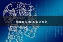 猫咪取名叫旺财好听吗女 - 猫猫起名旺财之类的名字