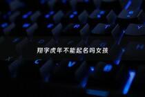 翔字虎年不能起名吗女孩 - 翔字起名什么翔好听