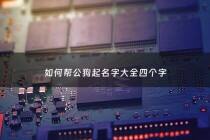 如何帮公狗起名字大全四个字 - 给公狗起名字好听又吉利