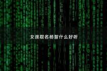 女孩取名杨智什么好听 - 女孩取名杨智什么好听点