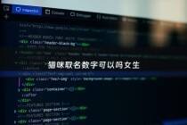 猫咪取名数字可以吗女生 - 猫咪取名禁忌