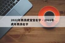 2022年男孩虎宝宝名字 - 2022年虎年男孩名字