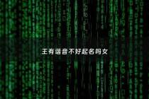 王有谐音不好起名吗女 - 王字谐音好听的字