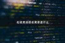 松铭男孩取名寓意是什么 - 松起名男孩名字