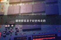 猫咪取名金子好听吗女的 - 金点猫咪名字