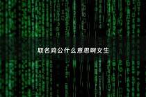 取名鸡公什么意思啊女生 - 大公鸡取名