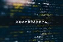 苏起名字谐音寓意是什么 - 苏起名字谐音寓意是什么意思