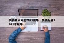 男孩名字大全2021属牛 - 男孩起名2021年属牛
