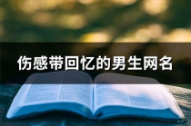 长网名：伤感的诗意与情感表达