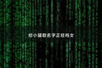 给小猫取名字正经吗女 - 给猫起个特别可爱的名字女孩