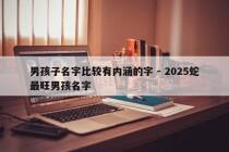 男孩子名字比较有内涵的字 - 2025蛇最旺男孩名字