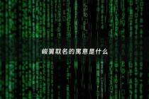 峻翼取名的寓意是什么 - 峻羽名字的意思