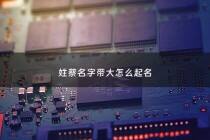 姓蔡名字带大怎么起名 - 适合蔡姓取名的字