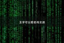 玉字可以取名吗女孩 - 玉字起名好听女孩名字