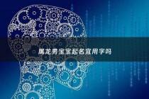 属龙男宝宝起名宜用字吗 - 属龙男孩起什么名字