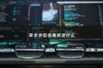 草木字取名寓意是什么 - 草木好听的名字