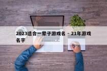 2023适合一辈子游戏名 - 21年游戏名字
