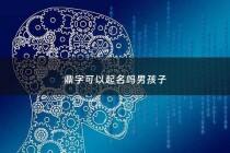 鼎字可以起名吗男孩子 - 鼎字取名的寓意好吗