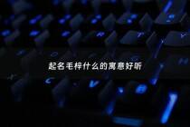 起名毛梓什么的寓意好听 - 毛梓艺名字怎么样
