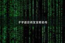 子字适合鸡宝宝取名吗 - 子字取名字大全男孩