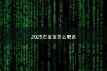 2025石宝宝怎么取名 - 2020石姓宝宝
