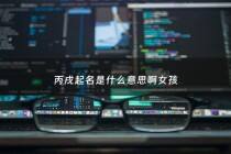 丙戌起名是什么意思啊女孩 - 丙戌念什么